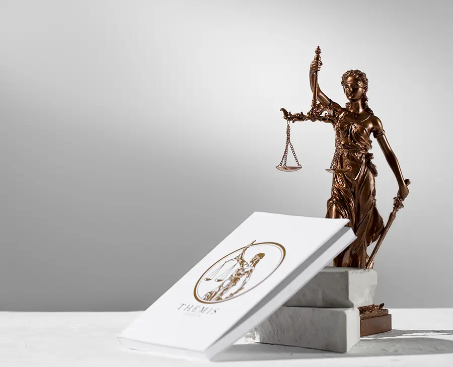 Imagen par la mostrar la excelencia jurídica